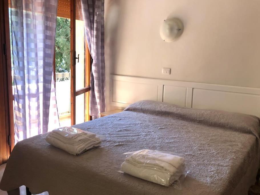 Sansovino Bed And Car Pensión